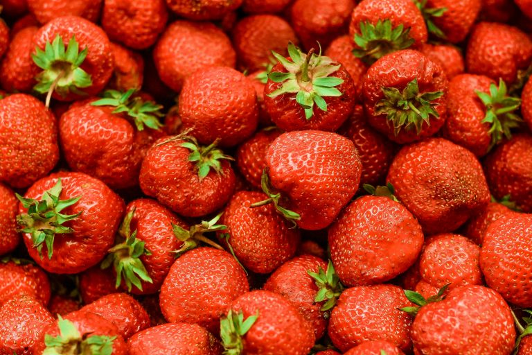 découvrez tout sur les fraises : bienfaits, recettes et astuces de conservation